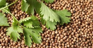 Kolendra w kosmetykach – naturalna moc dla Twojej skóry